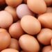 Mozambique emerges as critical frontier for Zimbabwean Agri-Export Revival