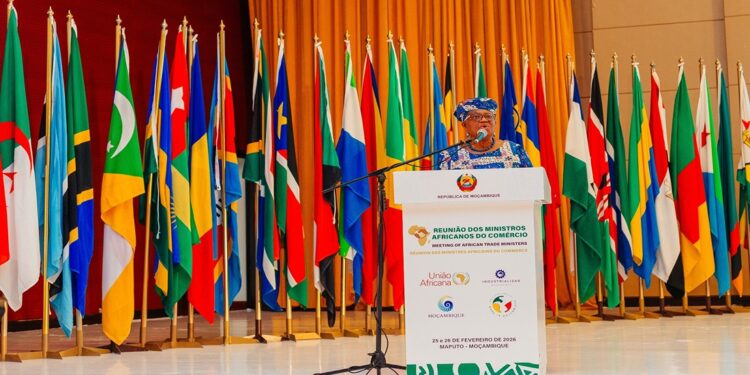 OMC procura investimento privado de 5 mil milhões de dólares para o processamento de algodão em África — Okonjo-Iweala em Maputo – Atualizado