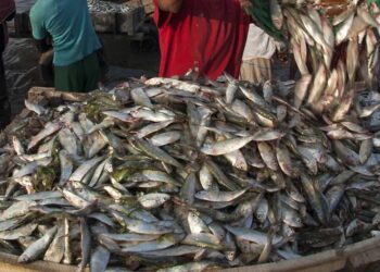 Blue Economy to Drive the Next Wave of Economic Growth