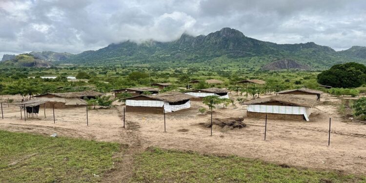 Equipa da Dordt trabalha em projeto solar em África