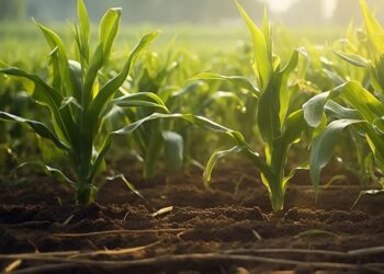 EU, BRICS Step into Mozambique’s Nacala Corridor as Mega-Farming Ambitions Fragment