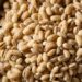 Moçambique apresentará projetos de mineração a céu aberto e agronegócio a investidores indianos