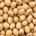 Mozambique Secures $500 Million World Bank Funding to Boost Agriculture, Food Security