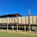 Mozambique’s Niassa Province Attracts Agro-Processing Inflow via China, SAN