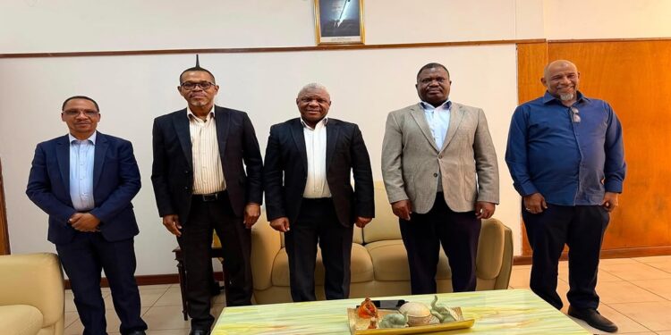 Atendimento médico gratuito para Cabo Delgado, em Moçambique