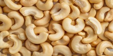 Recuperando a liderança no mercado de castanha de caju por meio de novas regulamentações