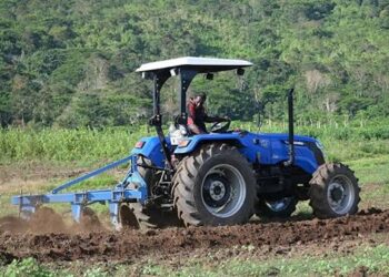 Como os microclimas e a infraestrutura estão reengenheirando a agricultura Moçambicana