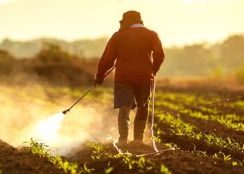 Exportadores africanos enfrentam novo risco de conformidade com normas da UE sobre pesticidas