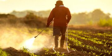 Exportadores africanos enfrentam novo risco de conformidade com normas da UE sobre pesticidas