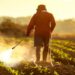 African Exporters Face New EU Pesticide Compliance Risk