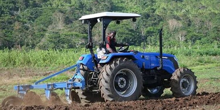 How Micro-Climates and Infrastructure Are Re-Engineering Mozambican Agriculture