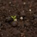International Alliance Rallies Behind Mozambique’s Climate-Resilient Agriculture