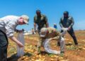 Government calls for greater recognition of locally produced potatoes