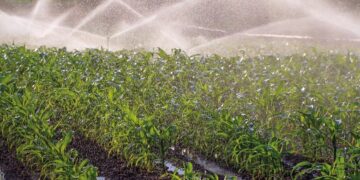 Portugal’s Young Farmers Plan an Incubator to Grow Mozambique’s Next Agribusiness Owners